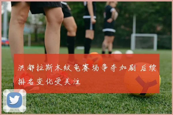 洪都拉斯木纹龟赛场争夺加剧 后续排名变化受关注